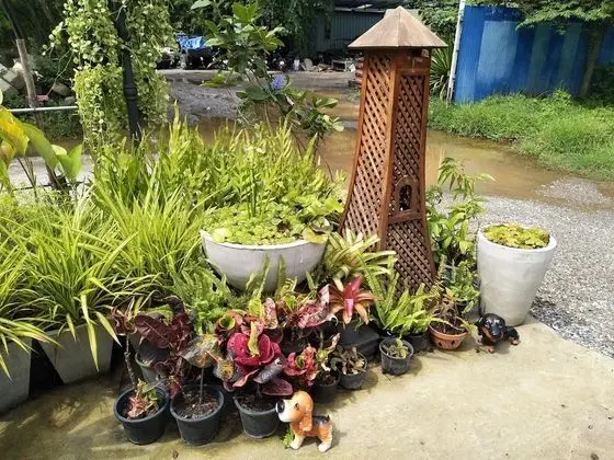 Rossarin Garden Resort 2 - Öne Çıkan Resim