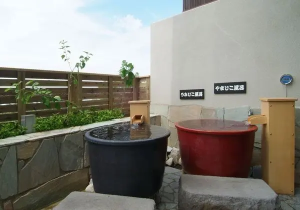 Route Inn Grantia Aoshima Taiyokaku - Spa
