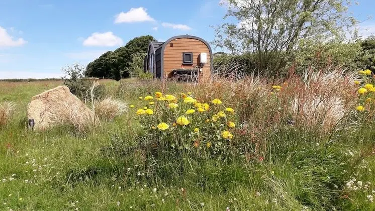Rowan - Luxury Glamping Pod, Laneast, Cornwall