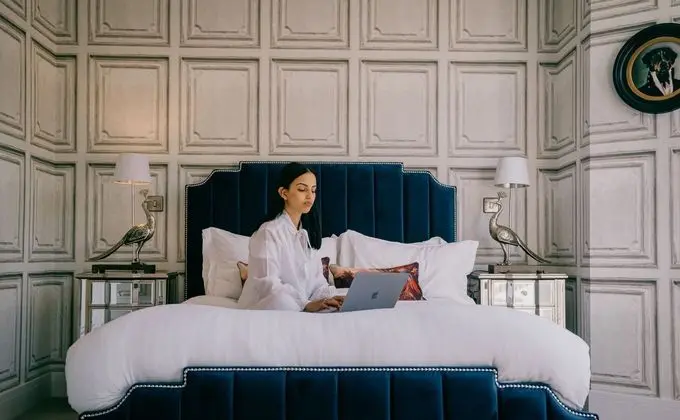 Rowan Tree Your Apartment - Öne Çıkan Resim