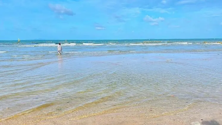 Royal Beach View Suites - Plaj