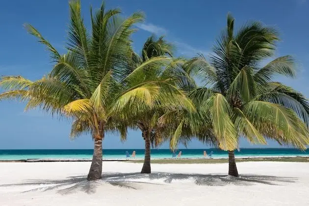 Royal Belize, a Muy'Ono Resort - Plaj