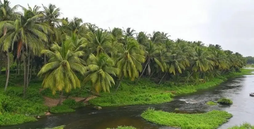 Royal Cottage, Anaimalai