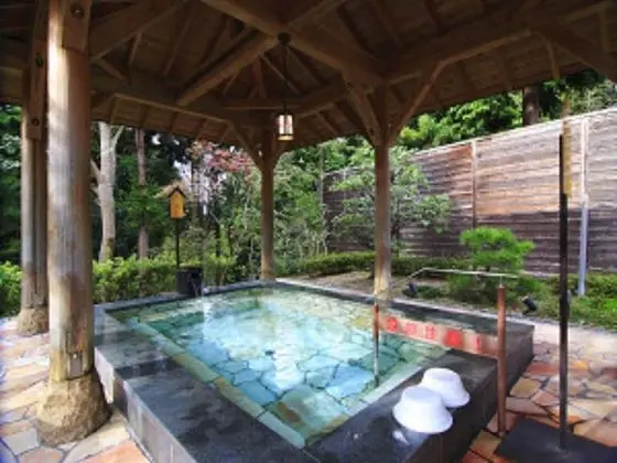 Hotel Royal Hill Fukuchiyama & Spa - Havuz