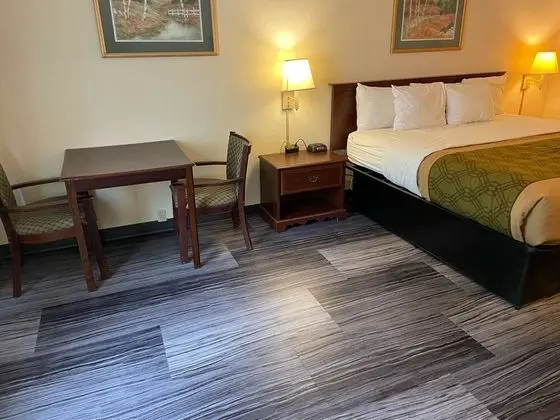 The Royal Inn & Suites - Oda Düzeni