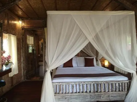 Royal Jj Ubud Resort and Spa Deluxe Room Pool View - Mülk Olanakları