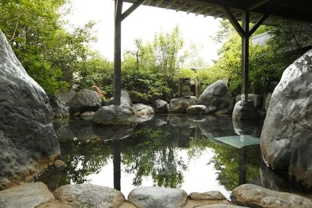 Royal Hotel Kawaguchiko - Hostel - Havuz