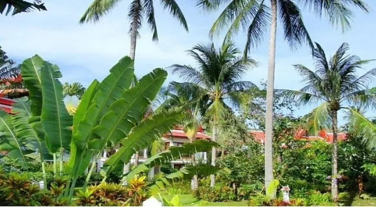 Royal Living Koh Samui - Villa 1 With 8 Meters to Beach - Dış Mekan