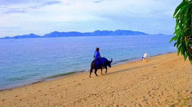 Royal Living Koh Samui - Villa 1 With 8 Meters to Beach - Plaj