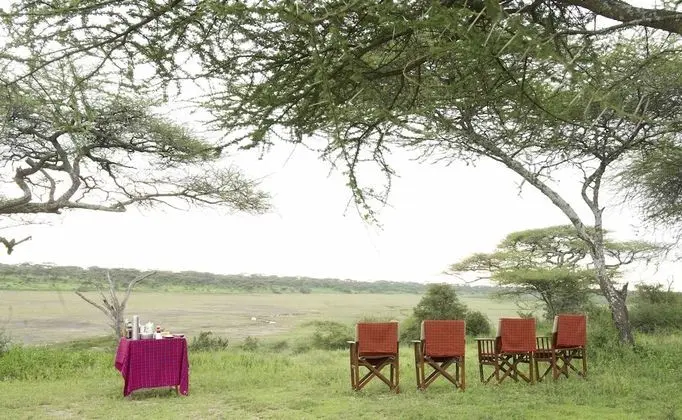 The Royal Migration Camp