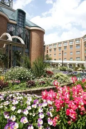 Royal Oak Hotel Spa & Gardens - Dış Mekan