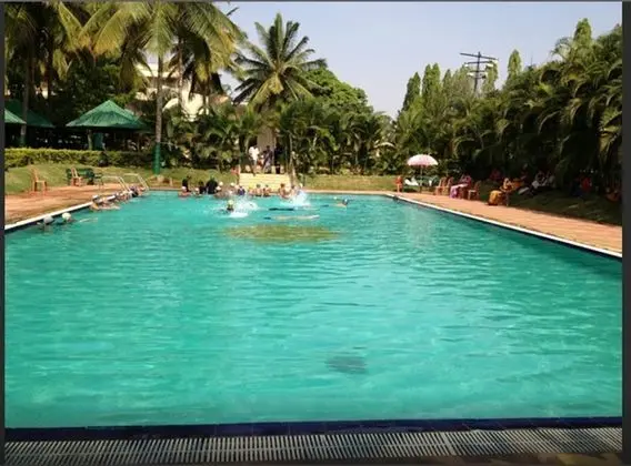 Royal Orchid Resort & Convention Centre - Havuz