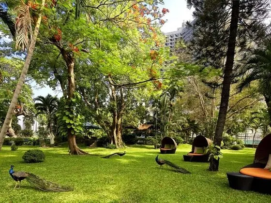 Royal Orchid Sheraton - Towers Bangkok