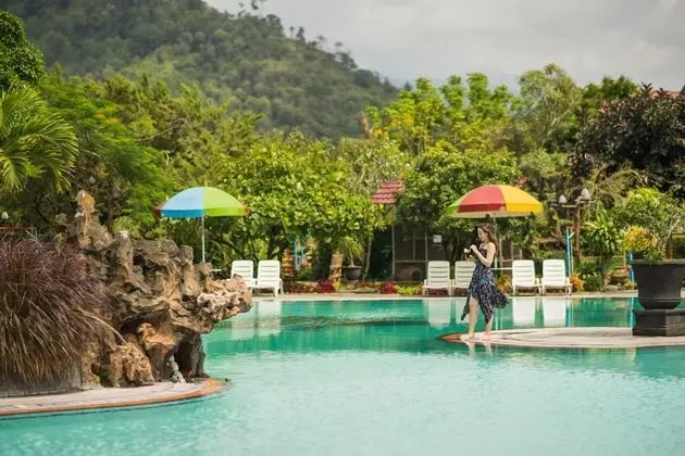 Royal Orchids Garden Hotel & Condominiums - Havuz