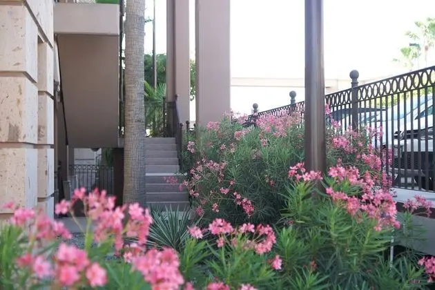Hotel Royal Palace