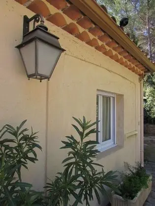 Royal Palmeraie - Chambres d'Hôtes - Dış Mekan