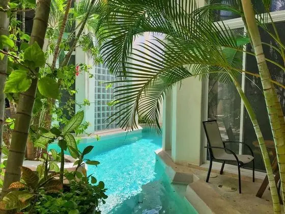 Royal Palms by Bric