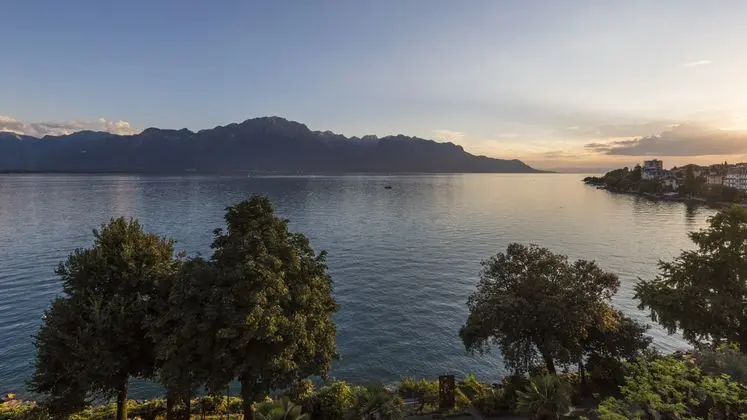 Royal Plaza Montreux - Genel