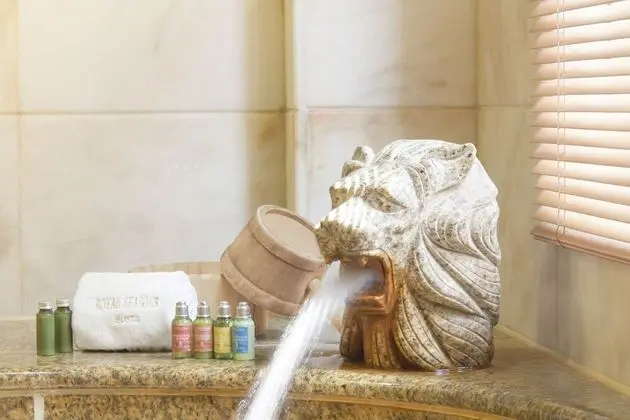 Royal Seasons Hotel Hot Springs Tapei - Beitou - İç Mekan