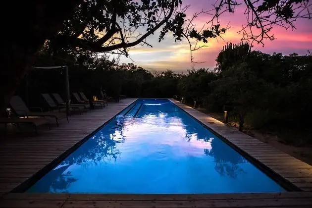 Royal Thonga Safari Lodge - Havuz