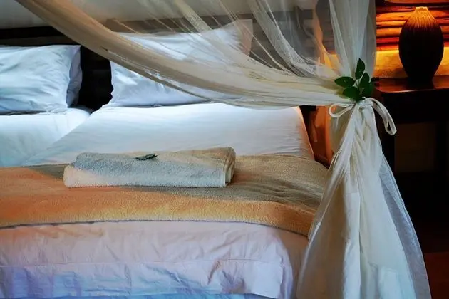 Royal Thonga Safari Lodge - Oda