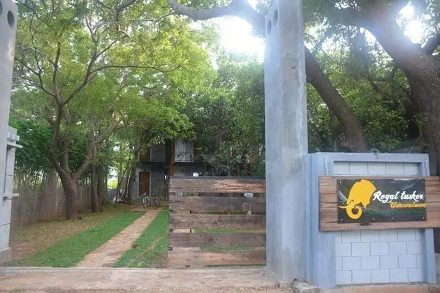 Royal Tusker Udawalawa