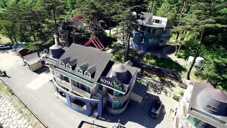 Royaltree Pension