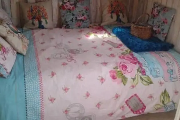Ruby Shepherds hut Sleeps 4 - Oda