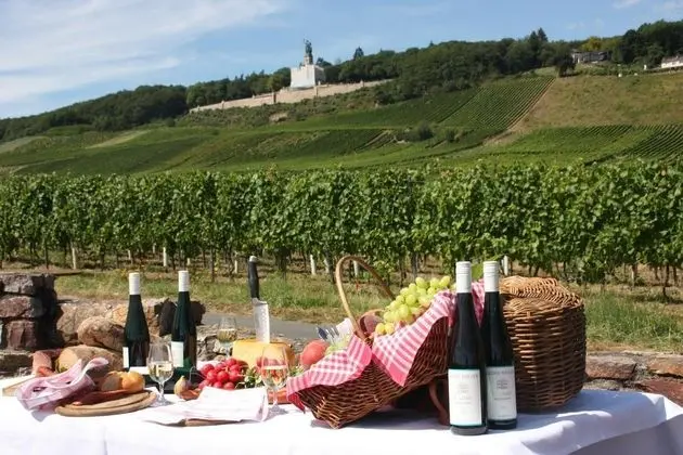 Rudesheimer Schloss