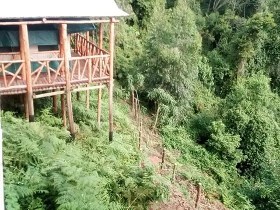 Ruhija Community Rest Camp - Dış Mekan