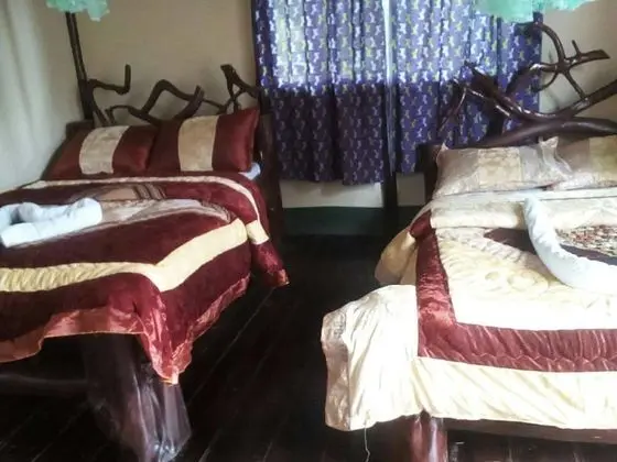 Ruhija Community Rest Camp - Oda