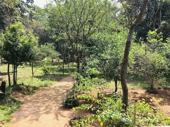 Ruk Sewana Villa