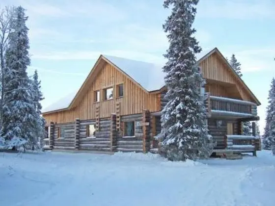 Rukaj Rven Kelopirtit Puolukka Kuusamo - Oda
