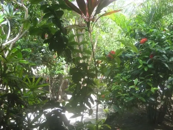 Rumah Purnama - Dış Mekan