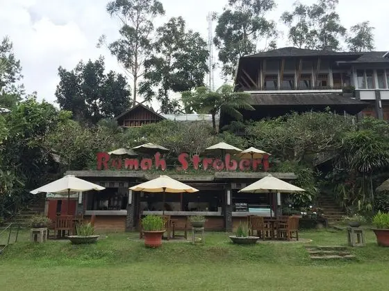 Rumah Stroberi Organic Farm and Lodge - Öne Çıkan Resim
