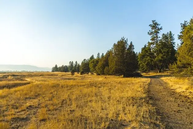 Running Y Ranch Vacation Home Rentals