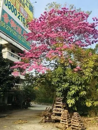 Rural Area Hotel