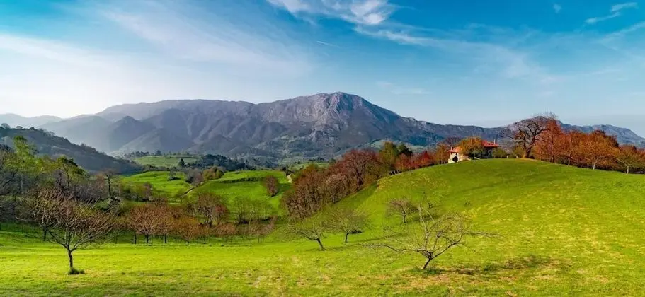 Hotel Rural El Pandal - Dış Mekan