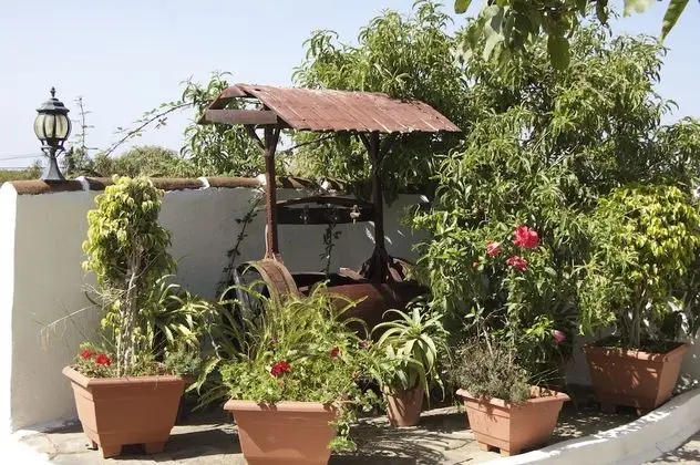 Hotel Rural Finca La Hacienda - Dış Mekan