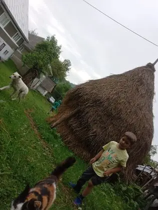 Rural Holiday Transylvania