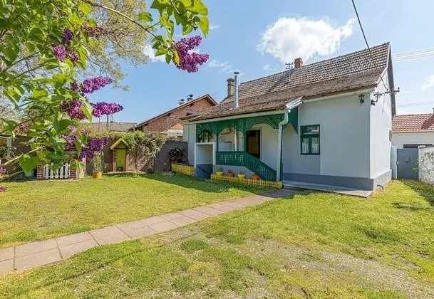 Rural Homestead Trenkovo