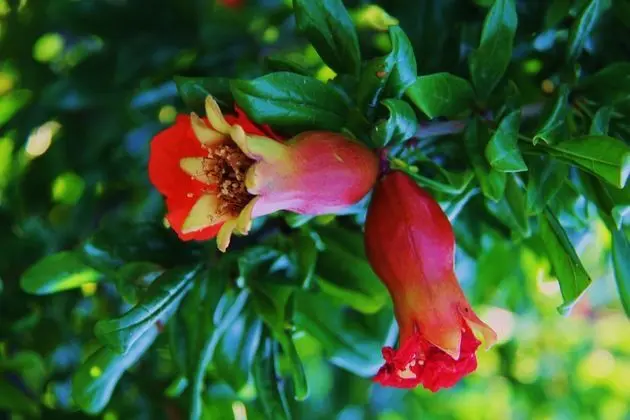 Hotel Rural Las Monteras