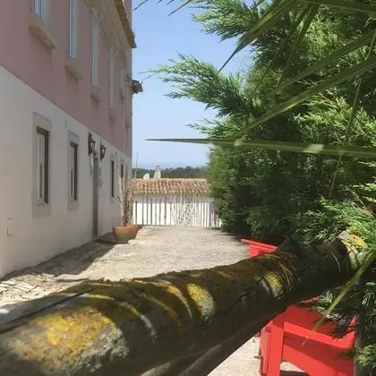 Hotel Rural Quinta do Juncal - Dış Mekan
