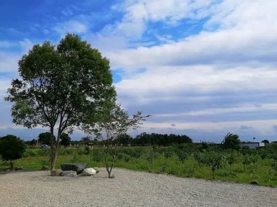 Rural Scenary Villa
