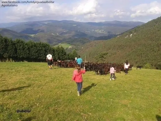 Hotel Rural Yeguada Albeitar - Dış Mekan