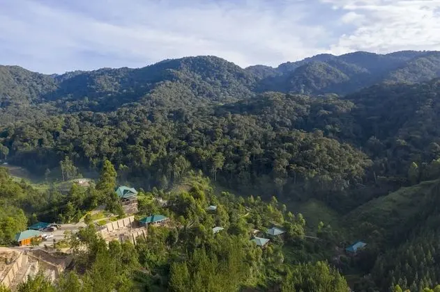 Rushaga Gorilla Camp - Dış Mekan