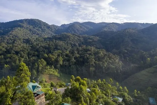 Rushaga Gorilla Camp - Lobi