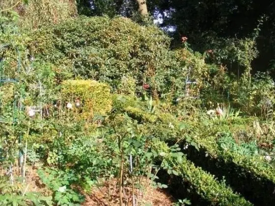 Rustic Holiday Home in Herzlake With Private Garden - Dış Mekan