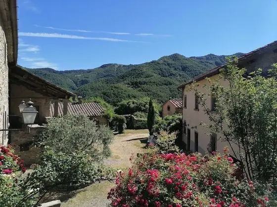 Rustic Holiday Home in San Godenzo With Pool