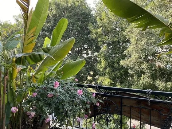 Rustic House Homestay